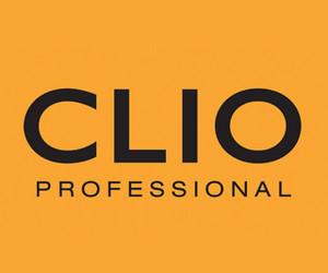 Clio Professional