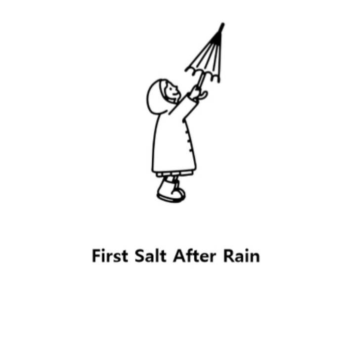 reviews FIRST SALT AFTER THE RAIN