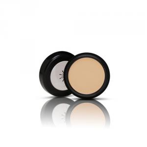 The Style Perfect Concealer