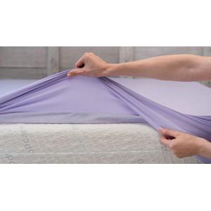 Bed Sheet - 3 Sizes