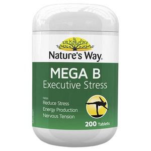  Mega B Executive B Stress