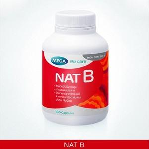 NAT B