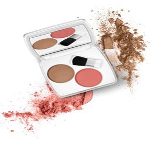 shade play artistic cheek color palette