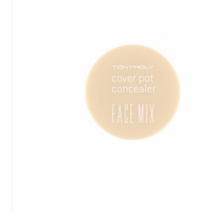 Face Mix Cover Pot Concealer